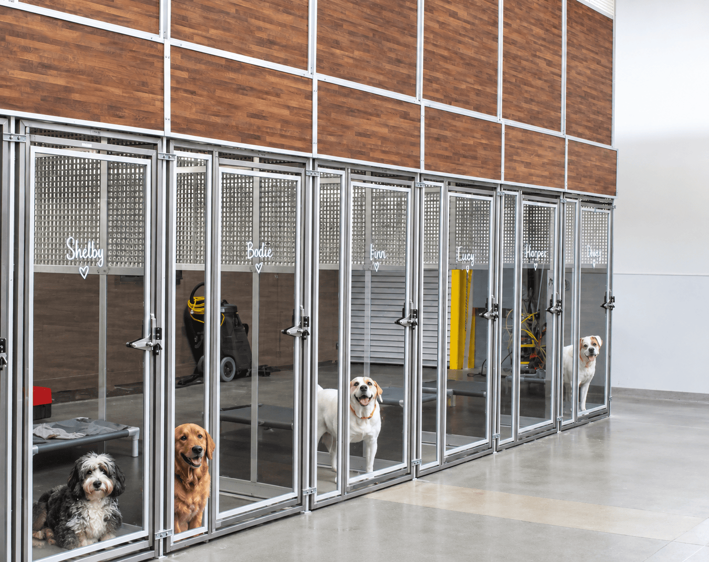 Dog kennels at Zuri Pet Spa with dogs inside and personalized name tags.